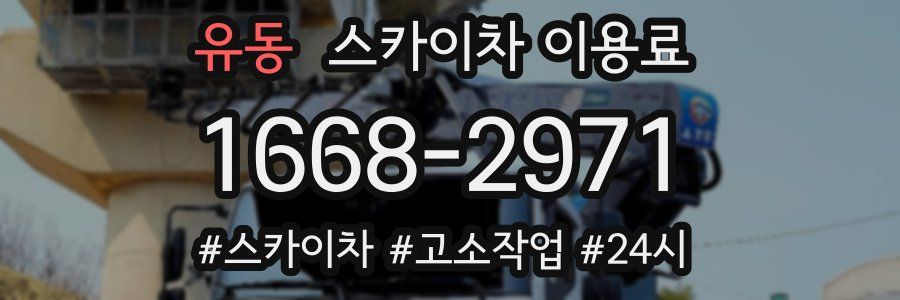 유동 스카이차 이용료