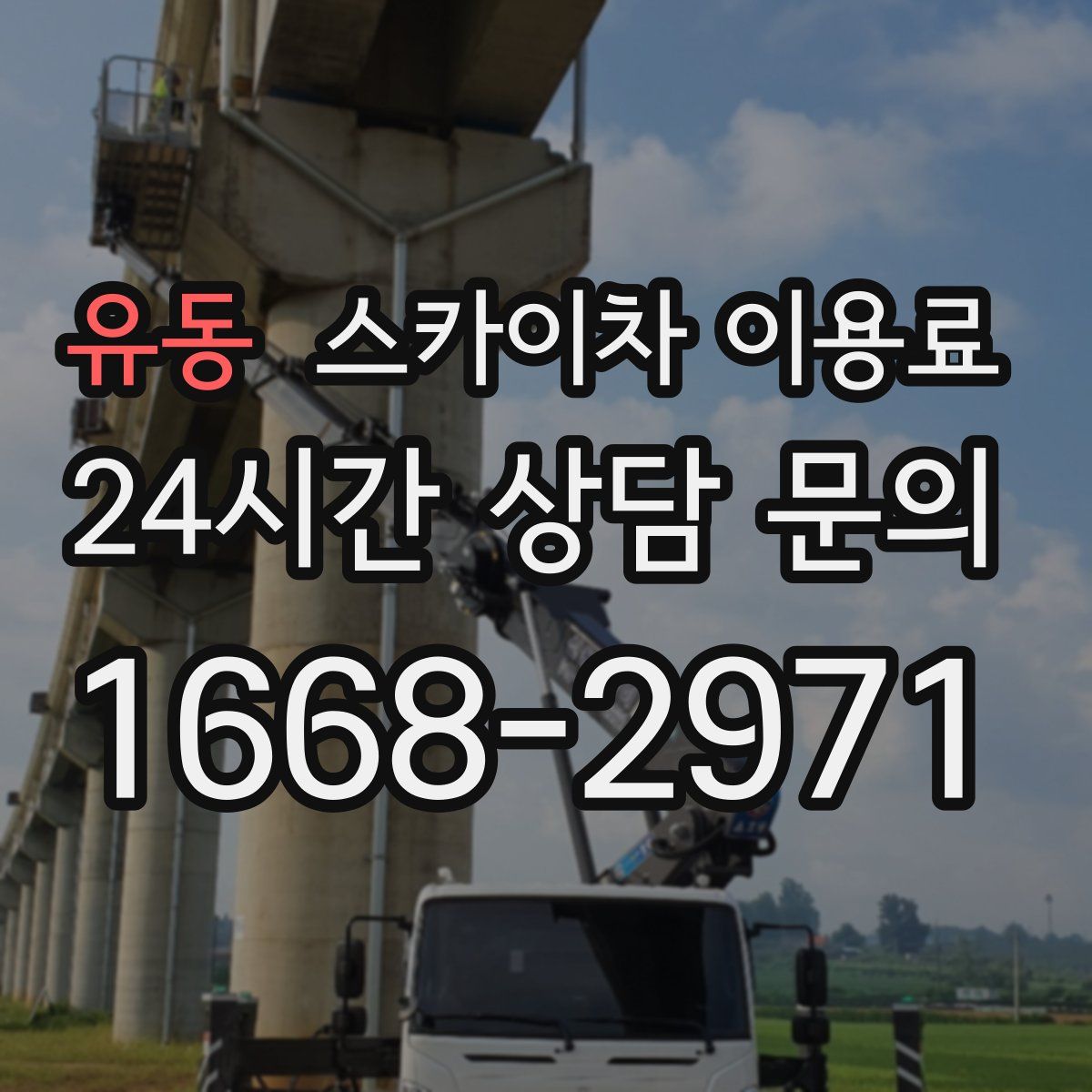 유동 스카이차 이용료