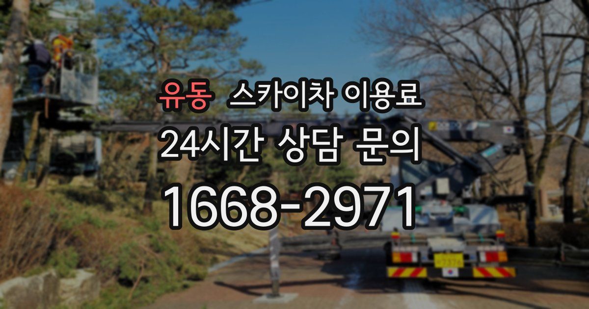 유동 스카이차 이용료