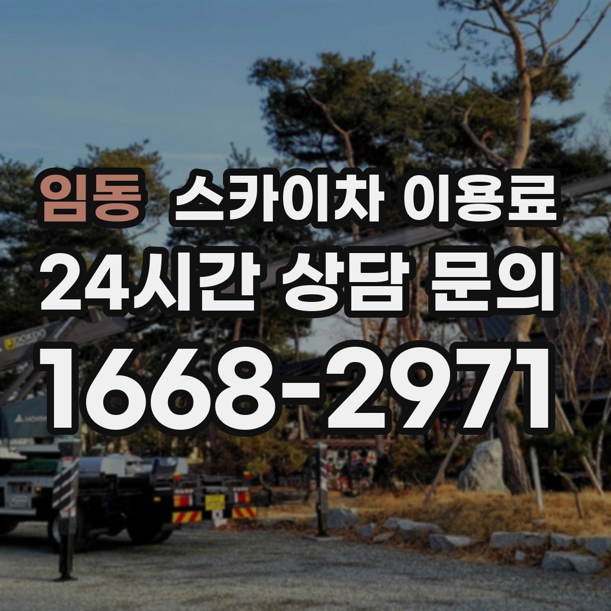 임동 스카이차 이용료