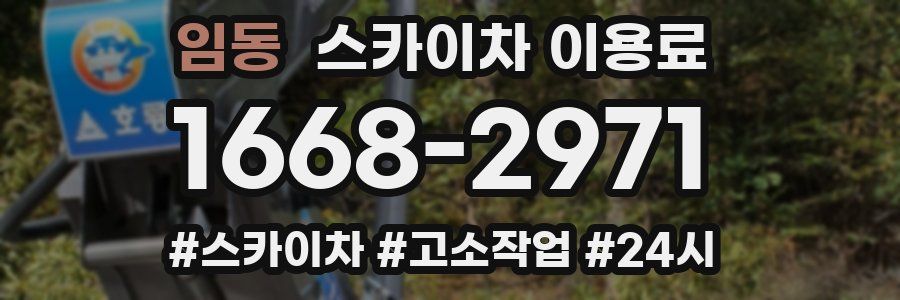 임동 스카이차 이용료