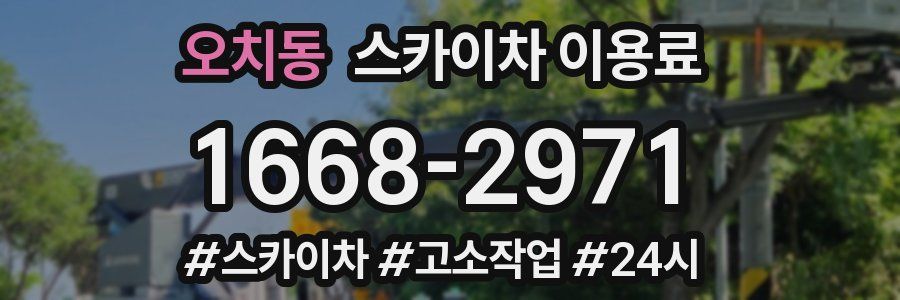 오치동 스카이차 이용료