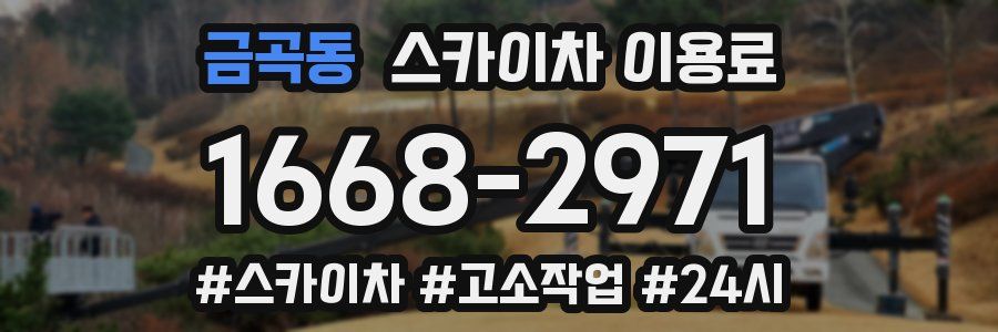 금곡동 스카이차 이용료