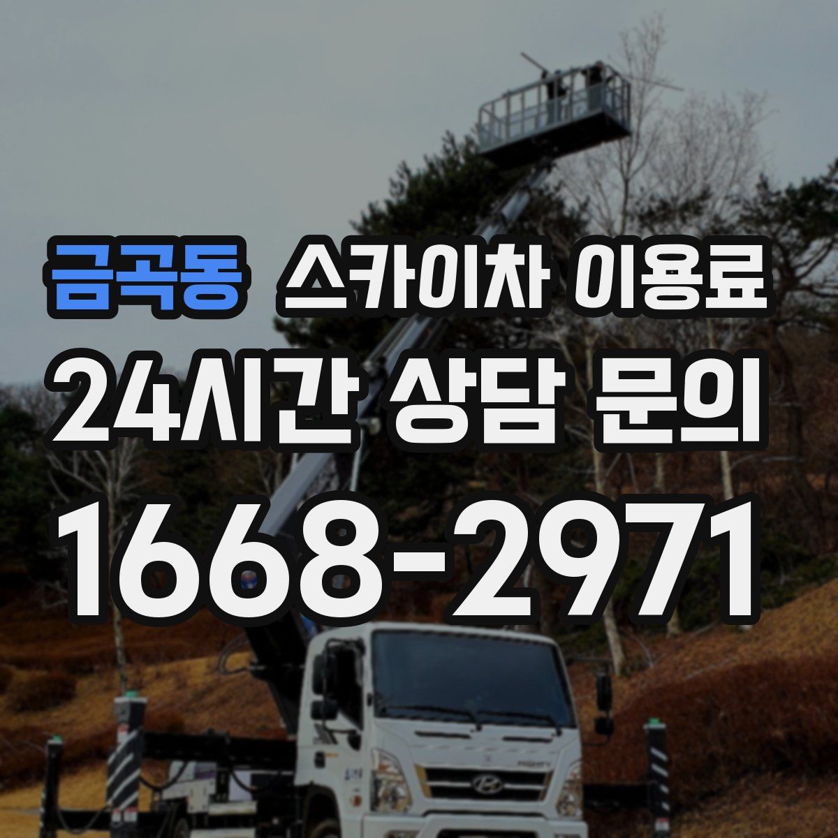 금곡동 스카이차 이용료
