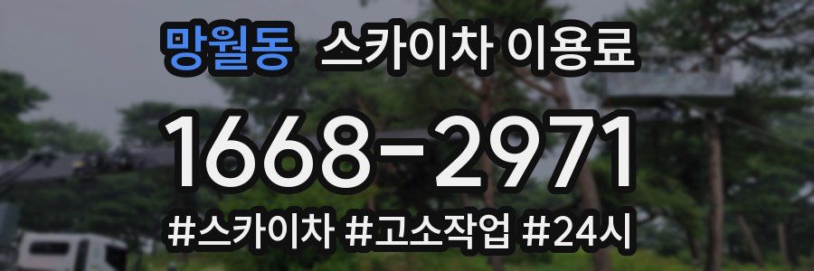 망월동 스카이차 이용료