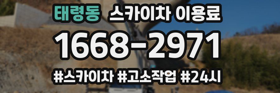 태령동 스카이차 이용료