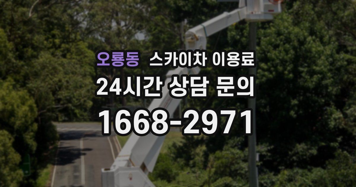 오룡동 스카이차 이용료