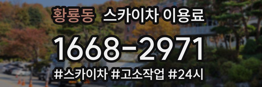 황룡동 스카이차 이용료