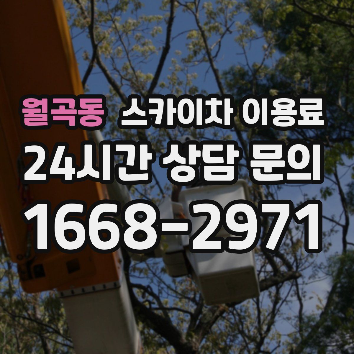 월곡동 스카이차 이용료