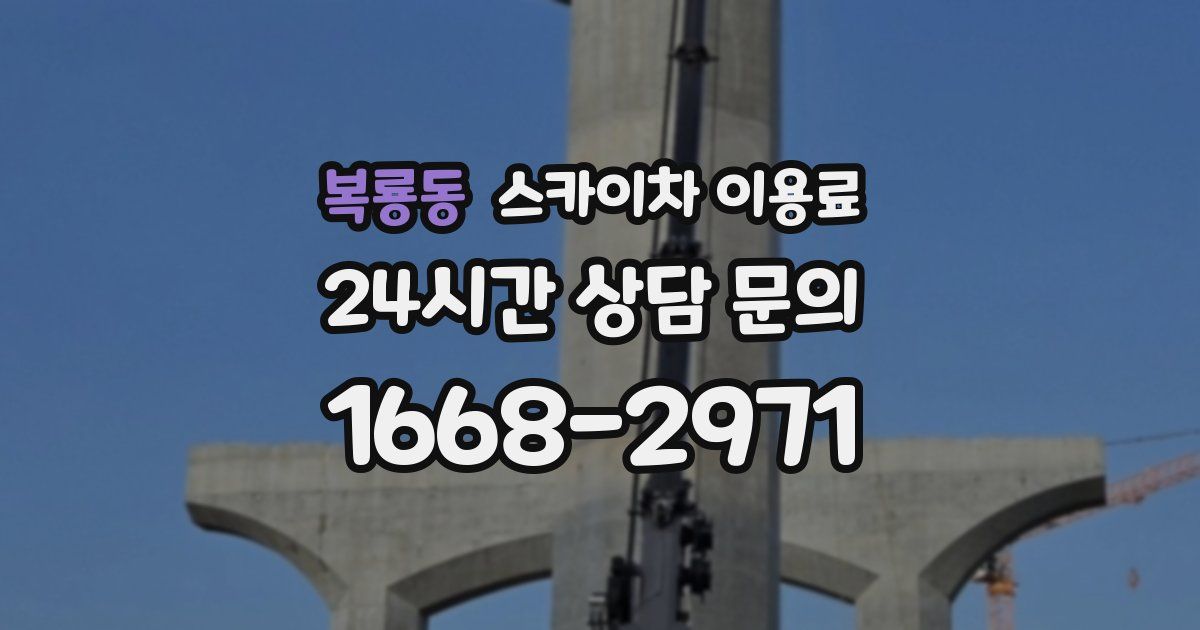 복룡동 스카이차 이용료