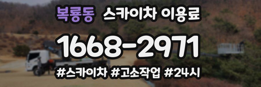 복룡동 스카이차 이용료
