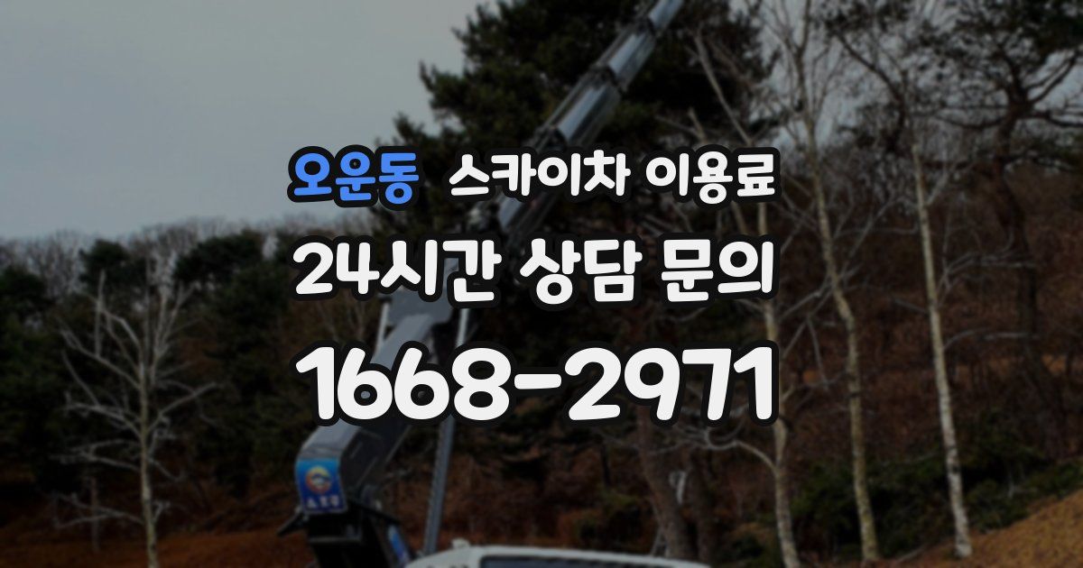오운동 스카이차 이용료