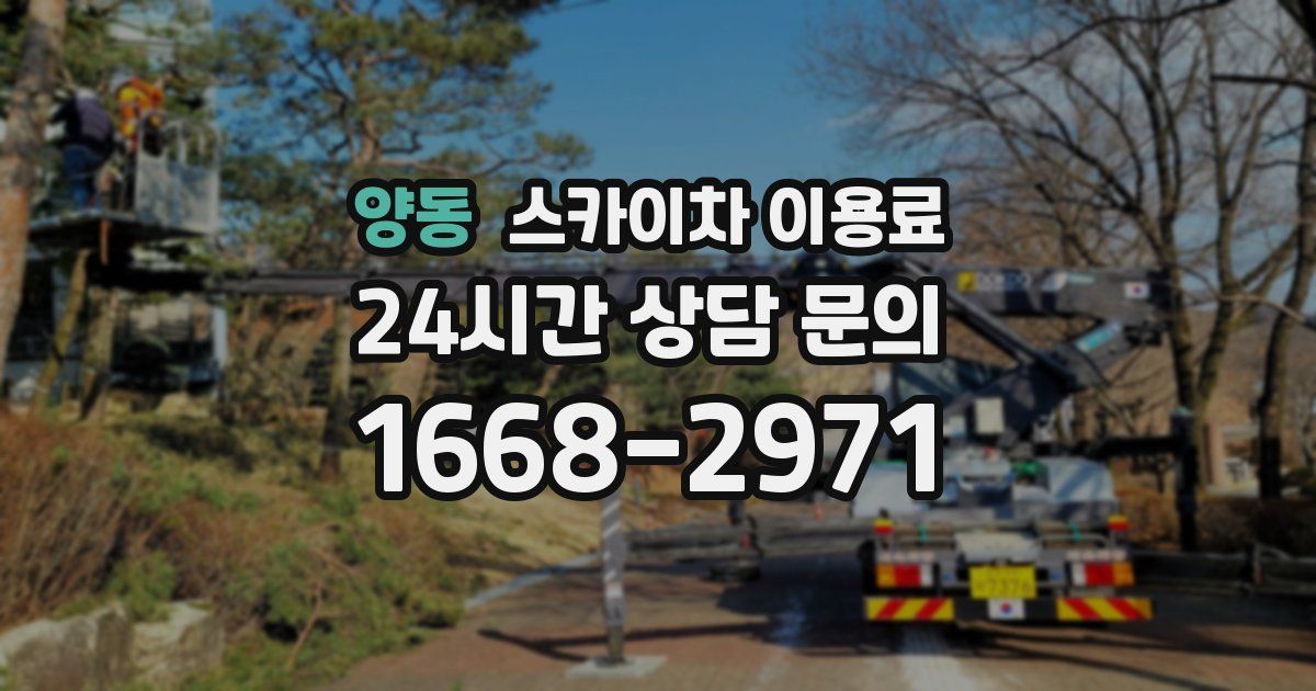 양동 스카이차 이용료