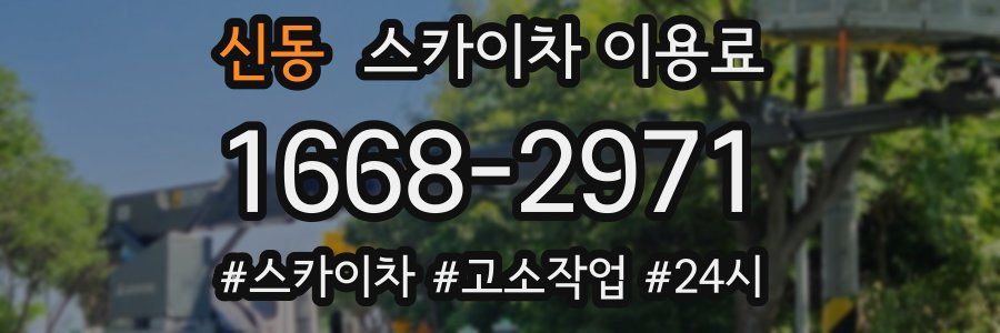 신동 스카이차 이용료