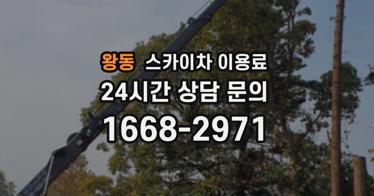 왕동 스카이차 이용료