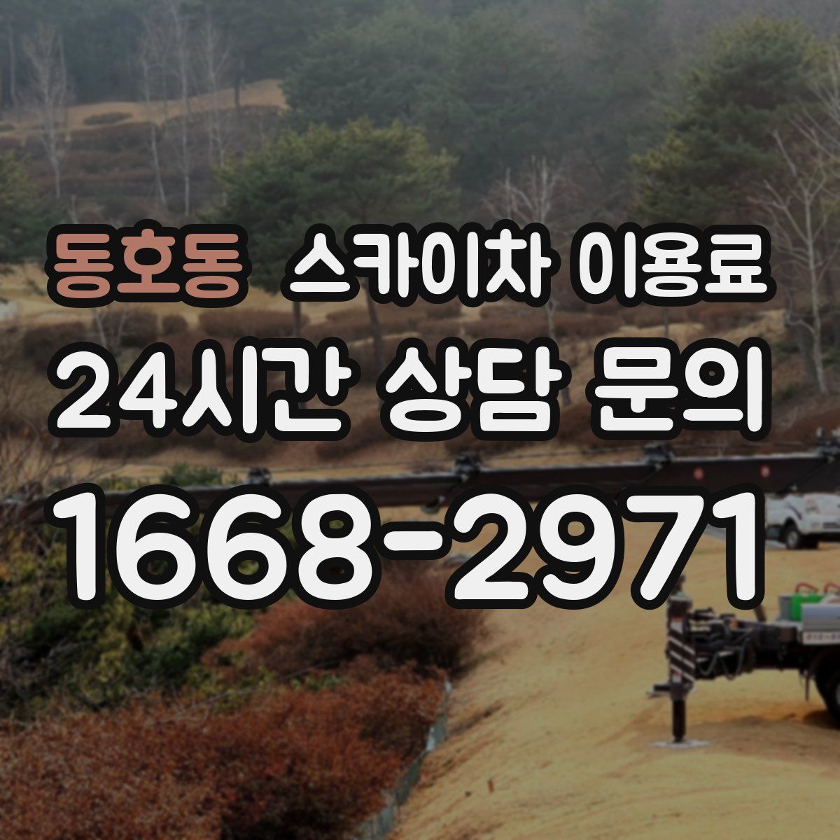 동호동 스카이차 이용료