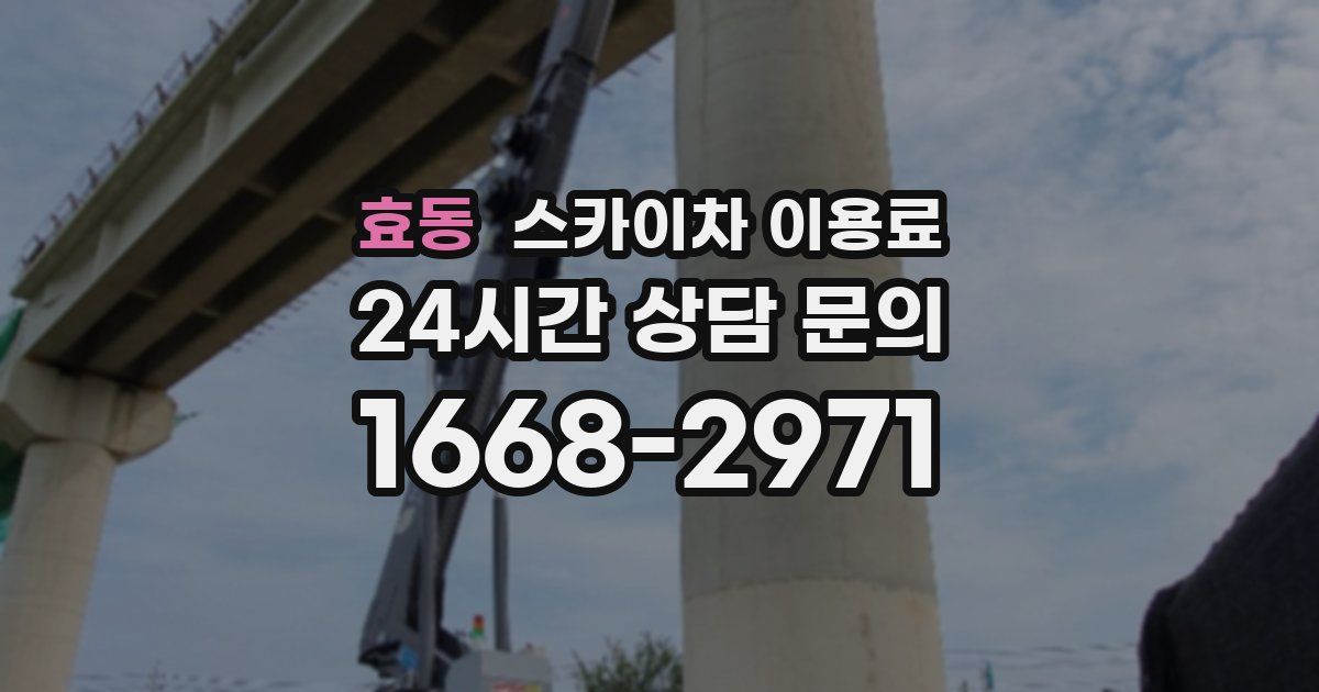 효동 스카이차 이용료