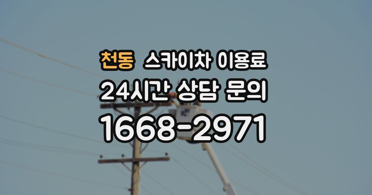 천동 스카이차 이용료