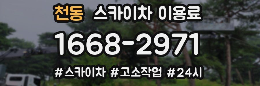 천동 스카이차 이용료