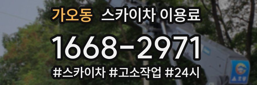 가오동 스카이차 이용료