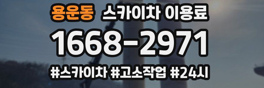 용운동 스카이차 이용료