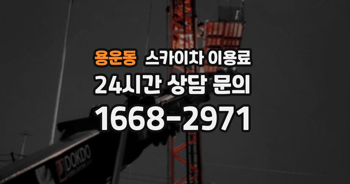 용운동 스카이차 이용료