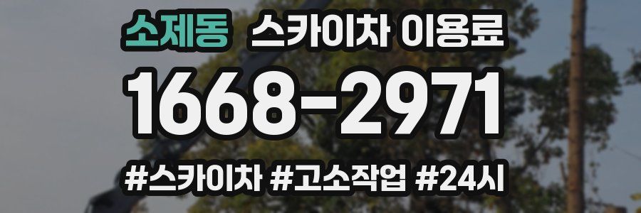 소제동 스카이차 이용료