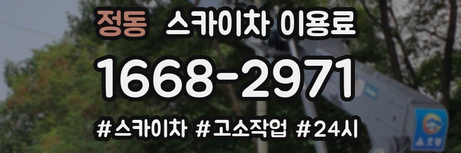정동 스카이차 이용료