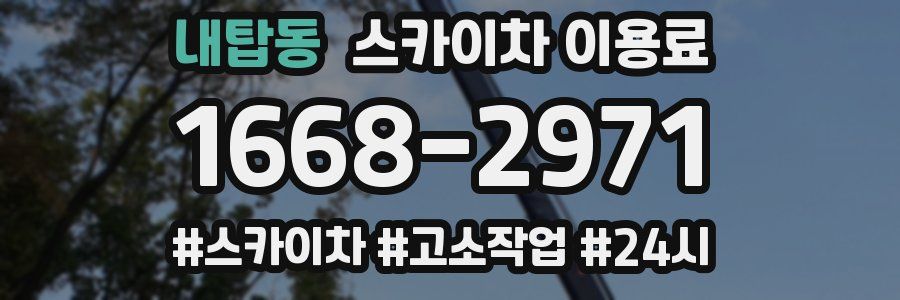 내탑동 스카이차 이용료