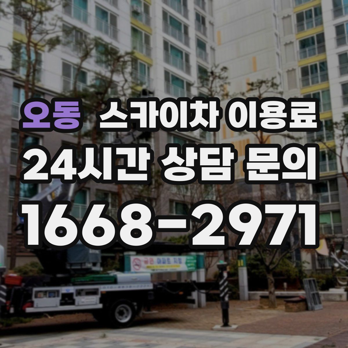 오동 스카이차 이용료