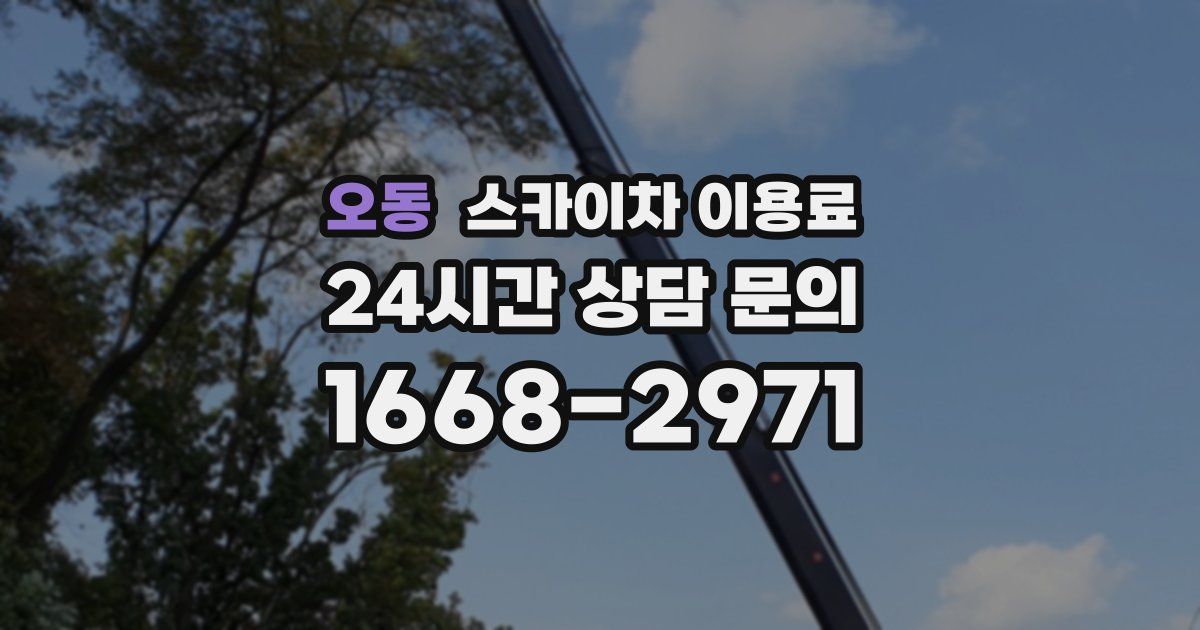 오동 스카이차 이용료