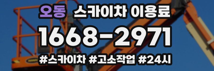 오동 스카이차 이용료