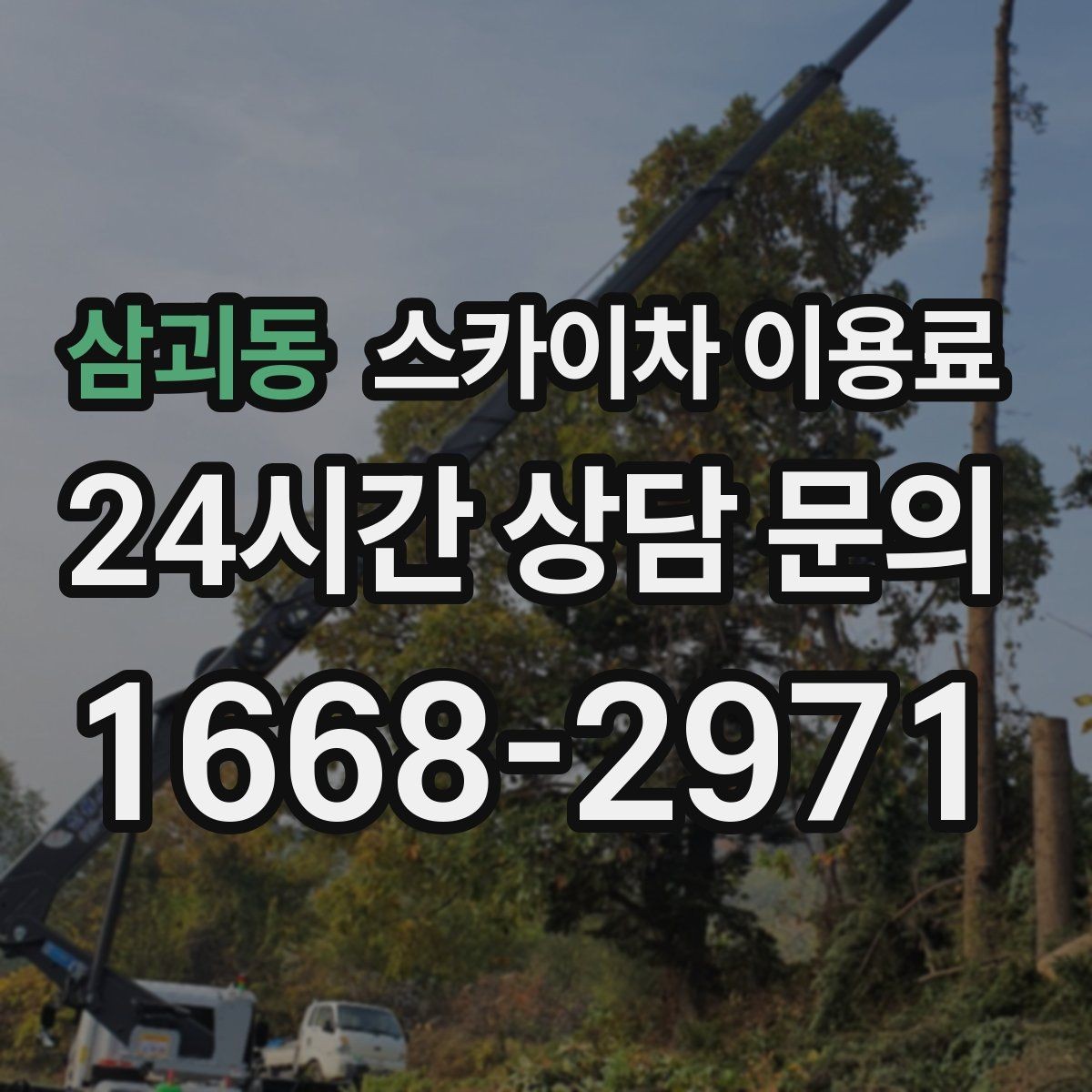 삼괴동 스카이차 이용료 확인 전 알아야 할 기본 정보