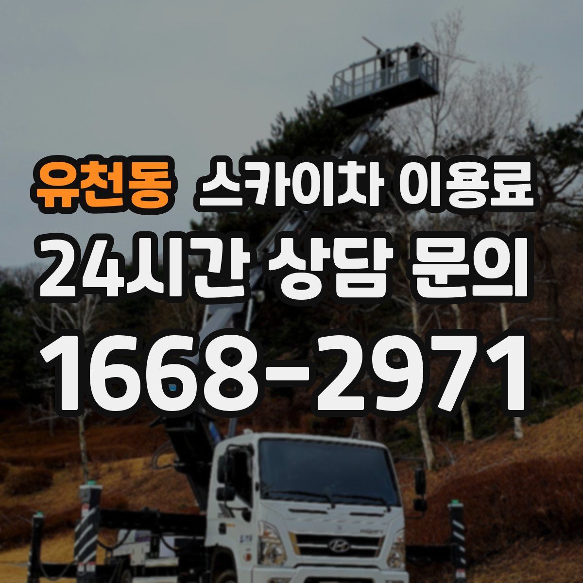 유천동 스카이차 이용료