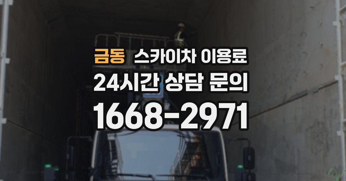 금동 스카이차 이용료