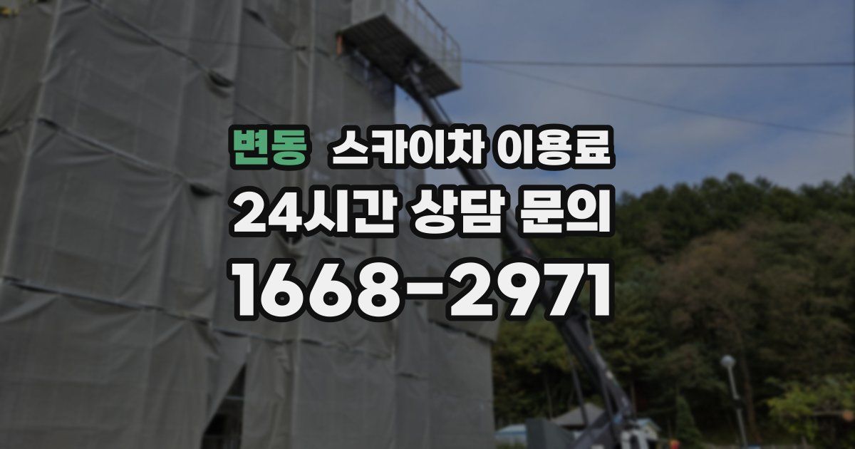 변동 스카이차 이용료