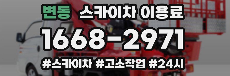 변동 스카이차 이용료