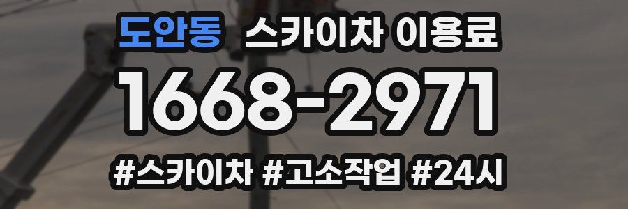 도안동 스카이차 이용료