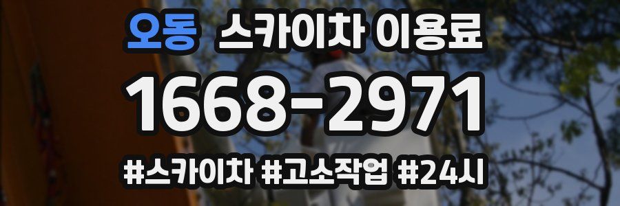 오동 스카이차 이용료