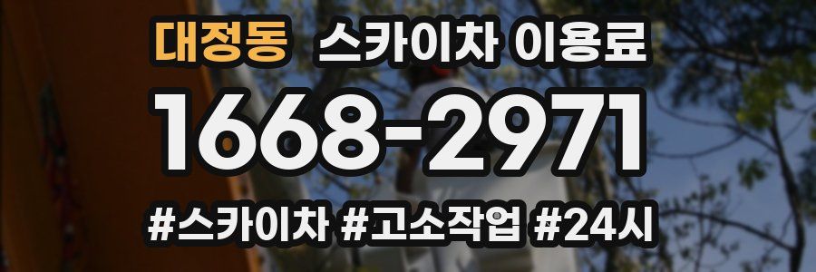 대정동 스카이차 이용료