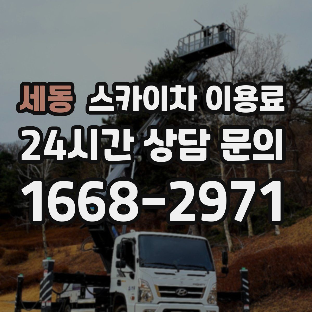 세동 스카이차 이용료