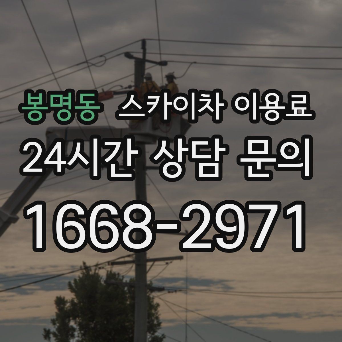 봉명동 스카이차 이용료 문의가 필요한 대표 상황