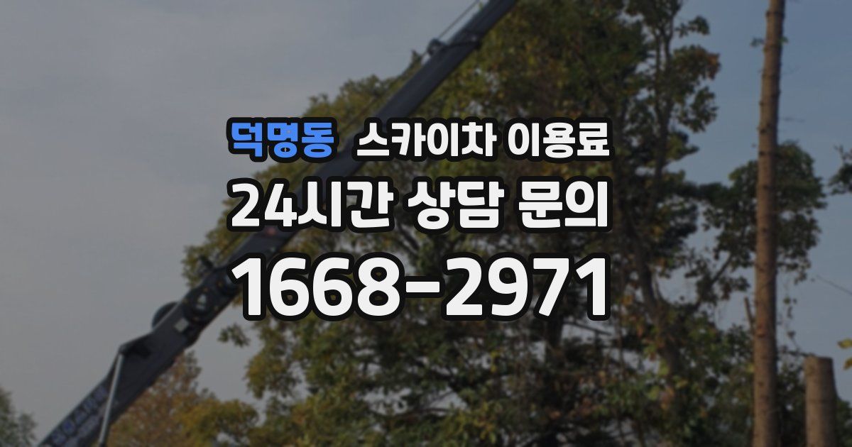 덕명동 스카이차 이용료