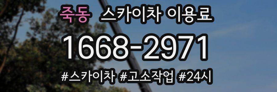 죽동 스카이차 이용료