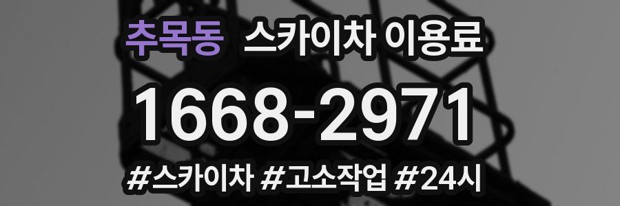 추목동 스카이차 이용료