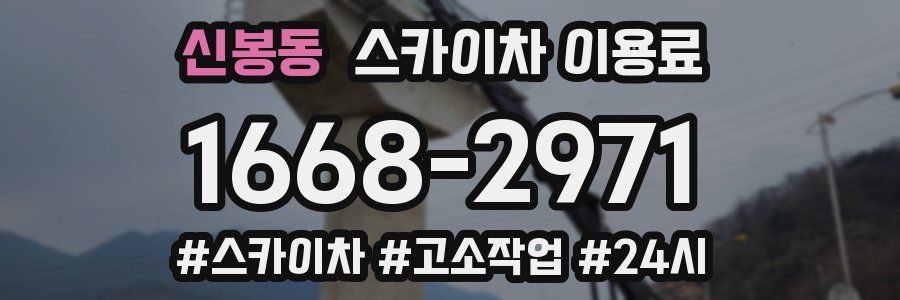 신봉동 스카이차 이용료