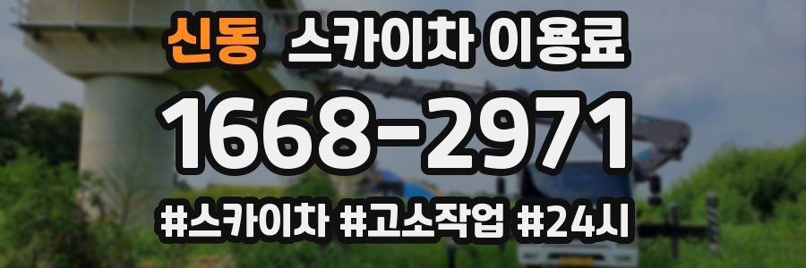 신동 스카이차 이용료