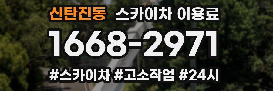 신탄진동 스카이차 이용료