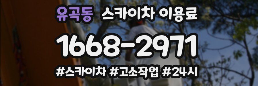 유곡동 스카이차 이용료