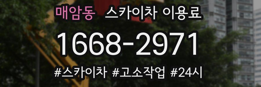 매암동 스카이차 이용료